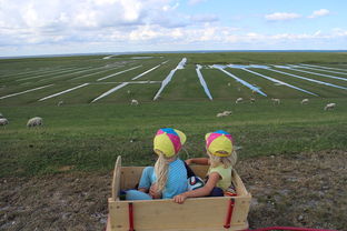 九游娱乐下载-青少年足球训练方法现代化，青少年足球技术